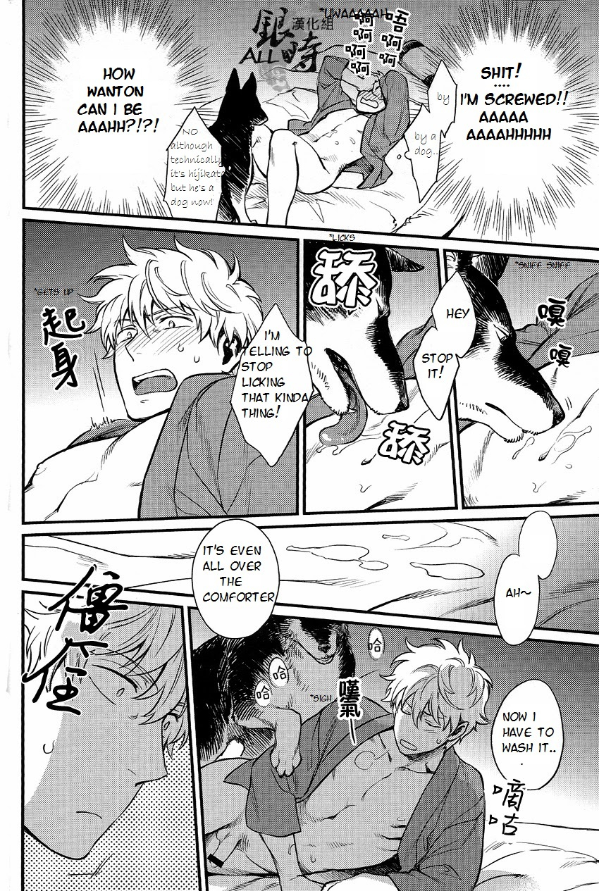 harucc18-3745house-tekkag-mikami-takeru-haru-how-to-spoil-your-dog-gintama-english-valc21
