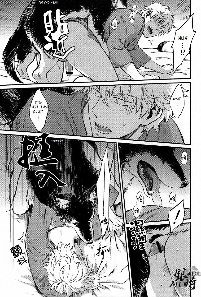 harucc18-3745house-tekkag-mikami-takeru-haru-how-to-spoil-your-dog-gintama-english-valc21