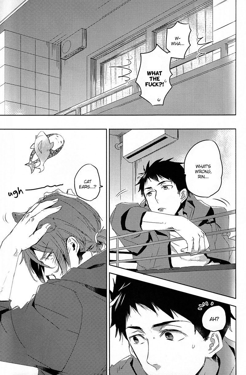 hoeru-shark-mikadoya-mikado-yuya-grooming-free-english