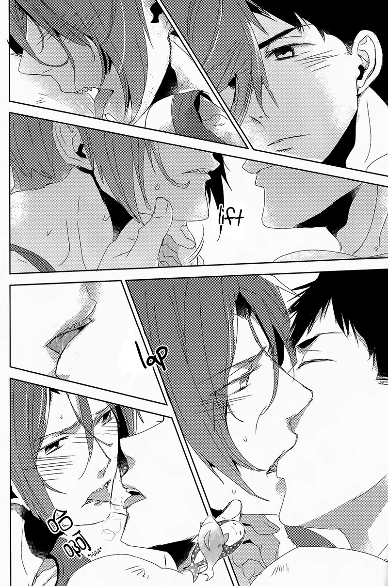 hoeru-shark-mikadoya-mikado-yuya-grooming-free-english