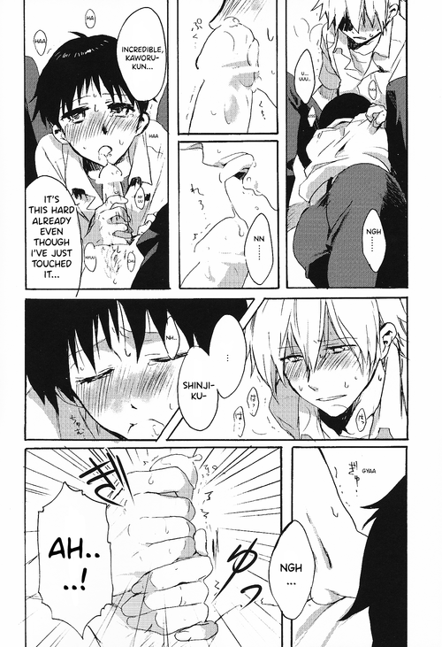 kimi-to-no-rendan-3-yaranaika-nakamura-q-15-haime-no-junjou-the-15th-cup-of-pureheart-neon-genesis-evangelion-english