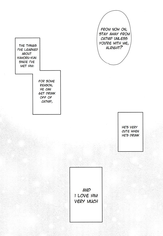 kimi-to-no-rendan-5-nicomarch-plico-shito-sama-yoidore-mode-desu-an-intoxicated-angel-neon-genesis-evangelion-english-tyroluuki