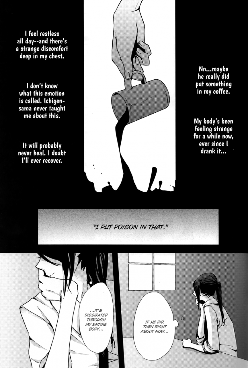 king-of-colors-osakaii-misty-dagarou-oasis-k-english