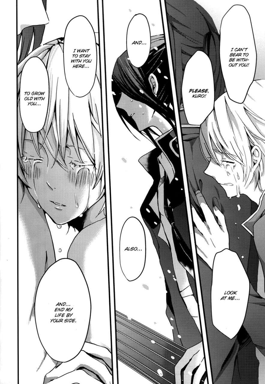 king-of-colors-osakaii-misty-dagarou-oasis-k-english