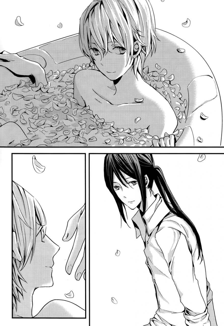 king-of-colors-osakaii-misty-dagarou-oasis-k-english