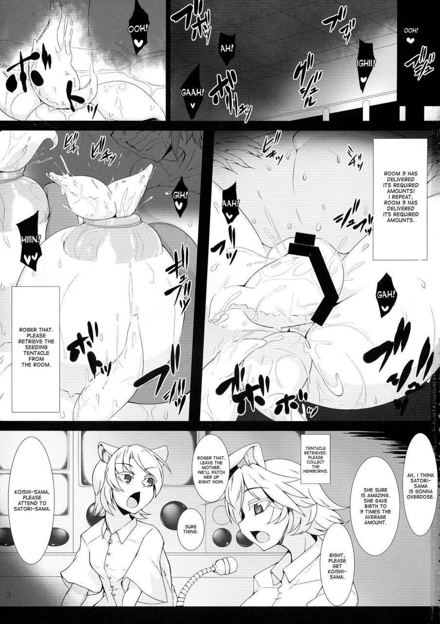 kouroumu-10-hadairo-rooibos-tea-pandain-shokushu-chireiden-3-komeiji-koishi-no-sakusei-chiryou-touhou-project-english-desudesu