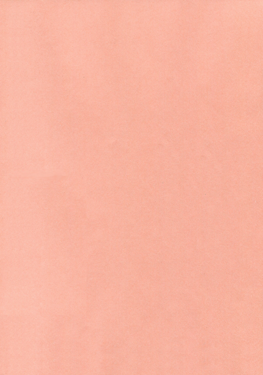 kouroumu-5-nimame-nakayama-miyuki-toratone-touhou-project-english