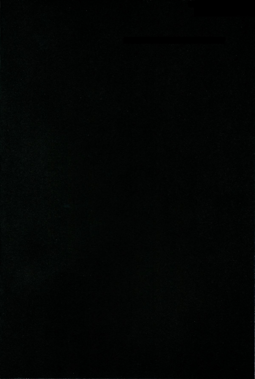 kouroumu-9-100yen-mofa-mirino-myon-shota-touhou-project-english-tv