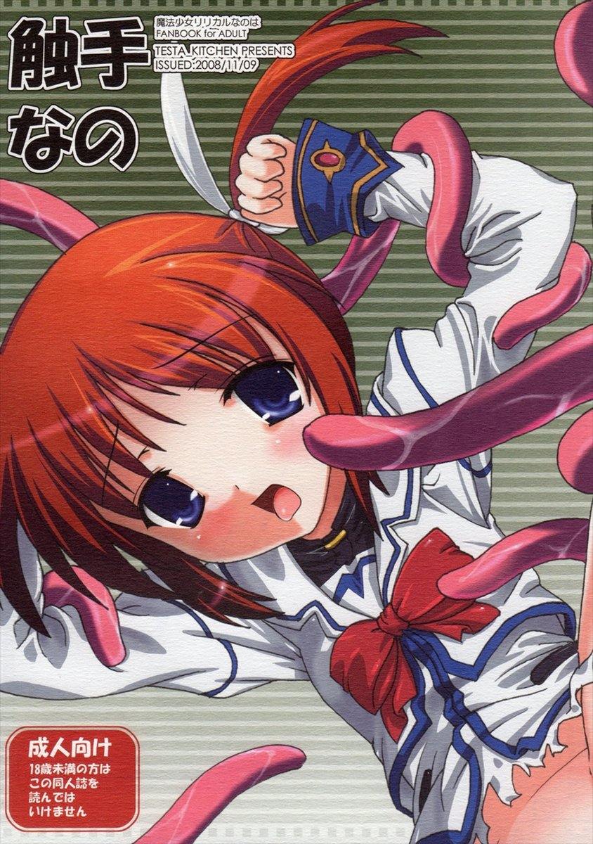lyrical-magical-5-testa-kitchen-testa-shokushu-nano-mahou-shoujo-lyrical-nanoha-english-superneedles