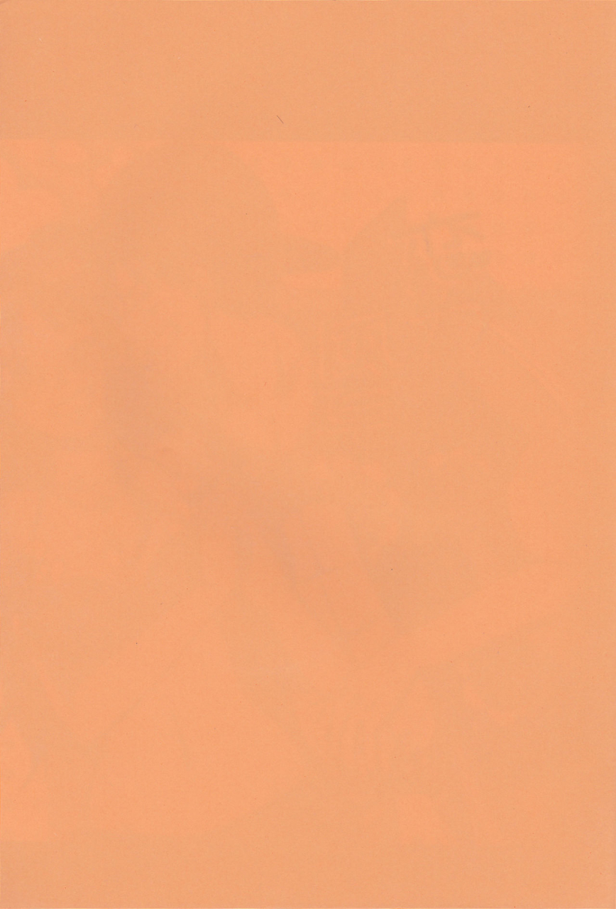 osaka-daienkai-3-pucchu-echigawa-ryuuka-koijikara-kazaguruma-one-piece-english-biribiri