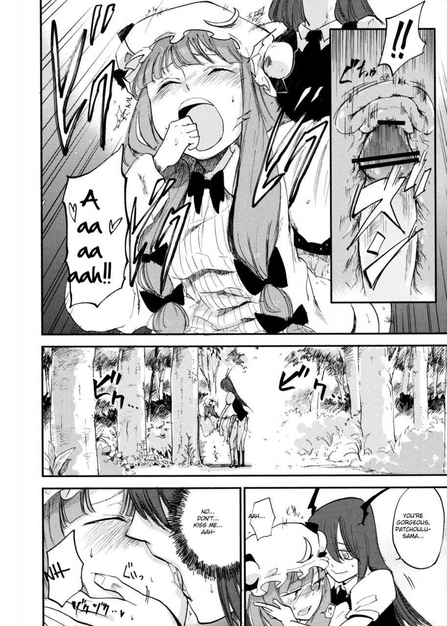 reitaisai-10-shironegiya-miya9-cloudy-sky-library-touhou-project-english