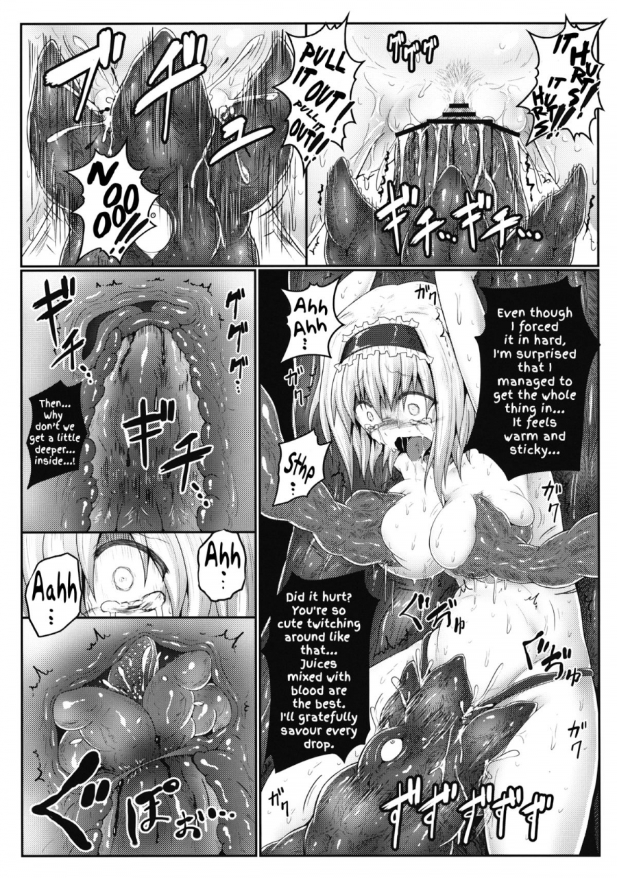 reitaisai-10-eali-al-ariesu-watanabe-nozomiusu-faint-hope-touhou-project-english
