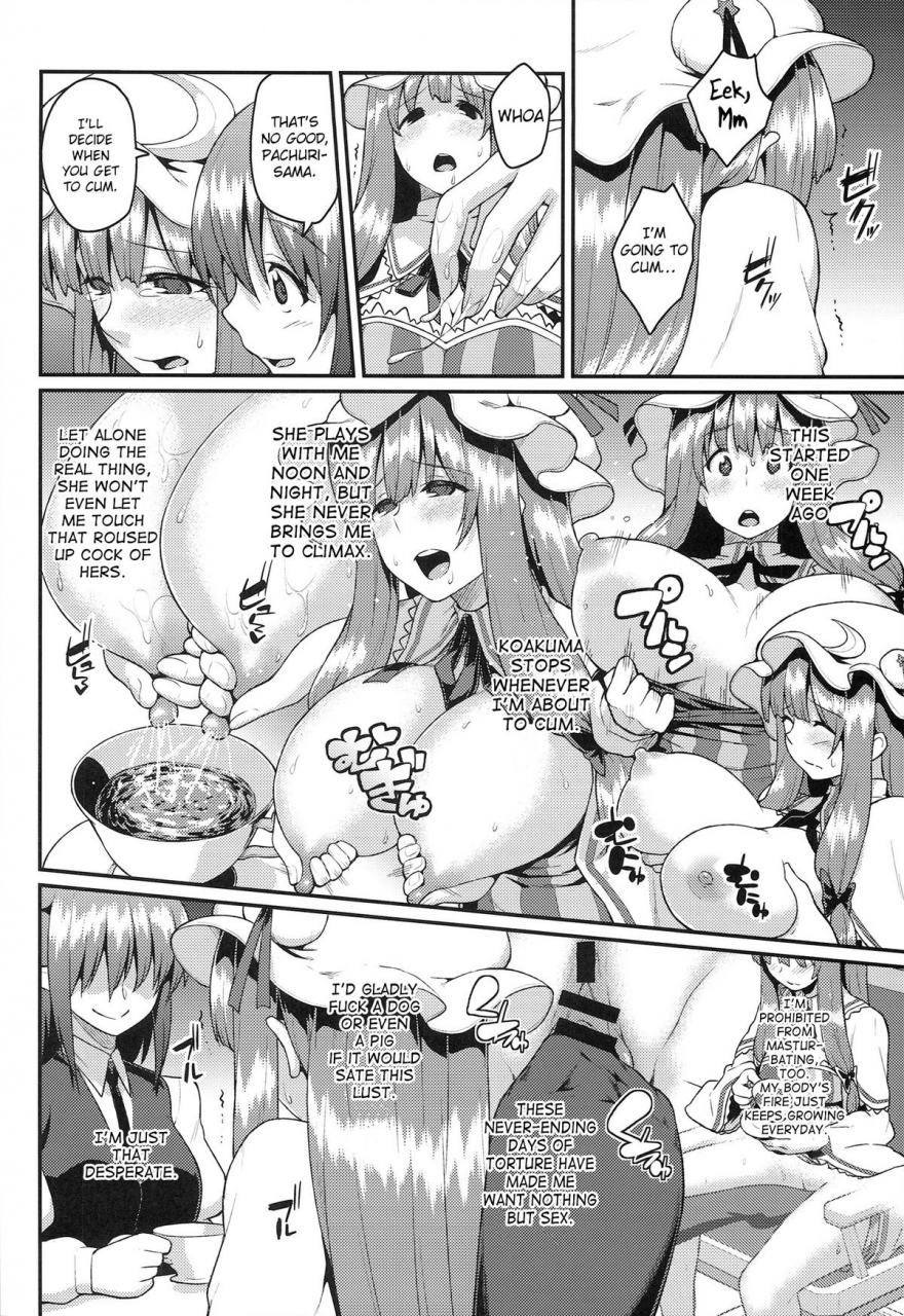 reitaisai-11-hirojuu-renshuuchou-hiroya-pache-otoshi-after-patchouli-defeated-after-touhou-project-english-doujin-moeus
