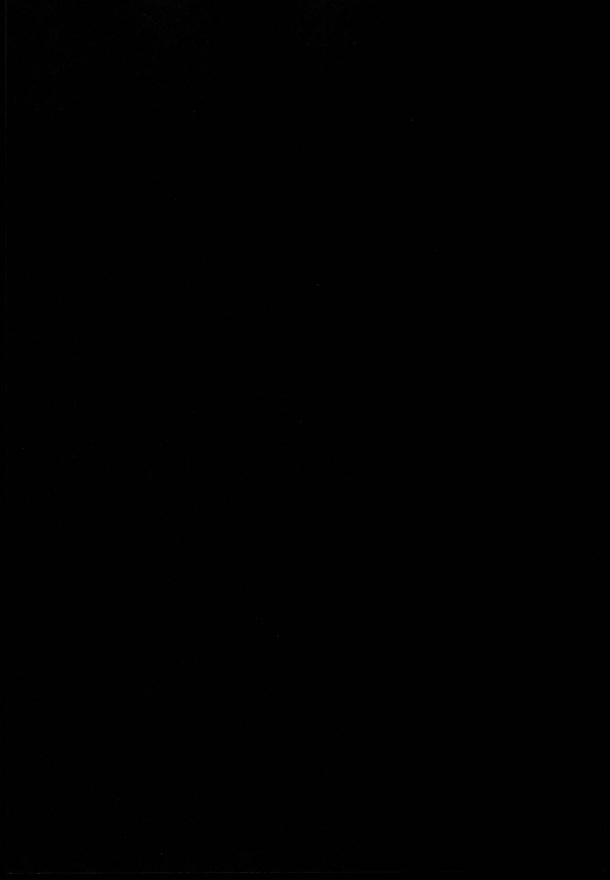 reitaisai-11-nahabaru-mae-gensoukyou-koushinki-7-touhou-project-english-cgrascal