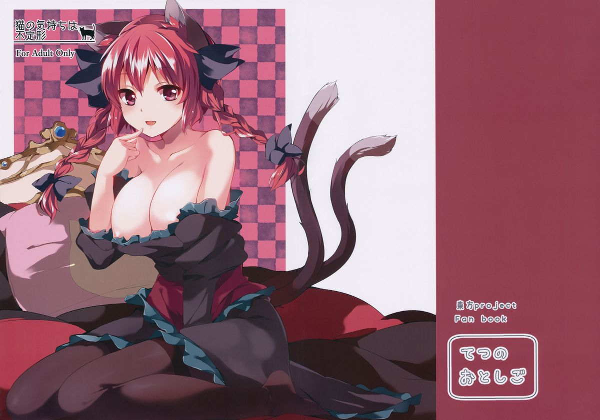 reitaisai-11-tetsu-no-otoshigo-chirorian-neko-no-kimochi-wa-futeikei-touhou-project-english