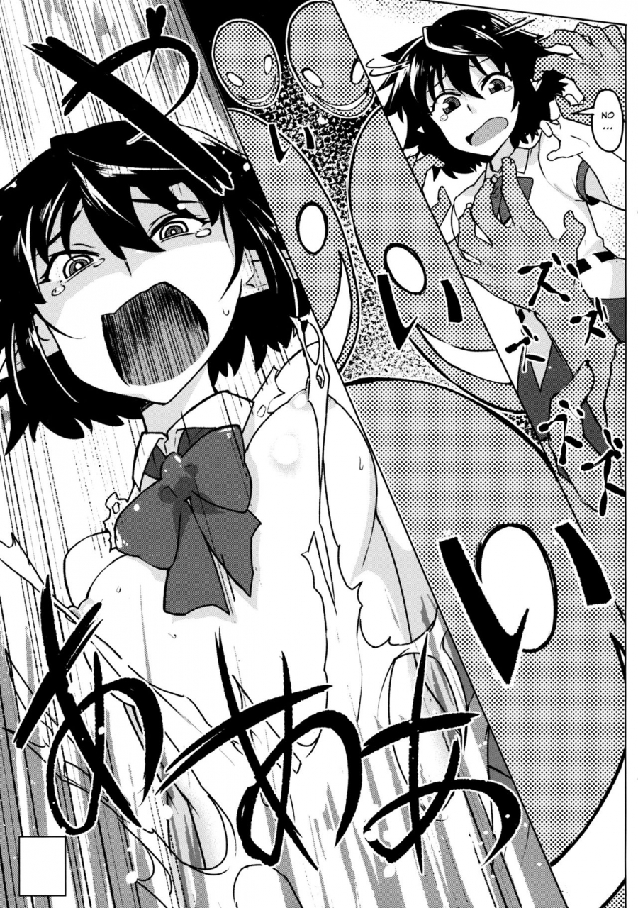 reitaisai-12-takeya-taketora-suzume-bunbunmaru-shinbun-daishazai-kanshasai-bunbunmaru-newspaper-great-apology-thanksgiving-touhou-project-english