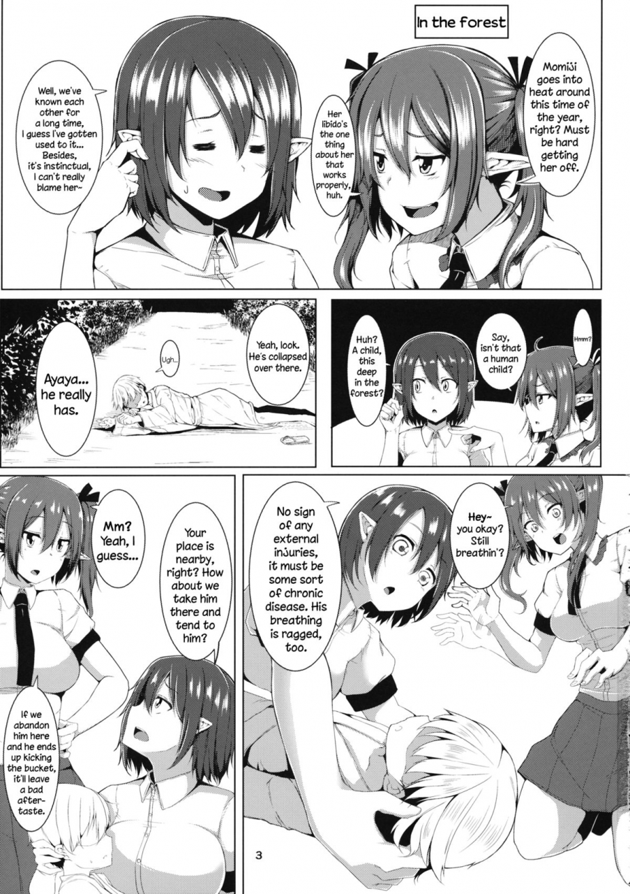 reitaisai-12-triple-luck-miyoshi-aya-hata-love-touhou-project-english