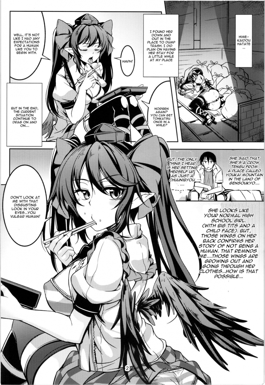 reitaisai-12-windarteam-windart-wagaya-no-otengu-sama-zenpen-touhou-project-english-cgrascal