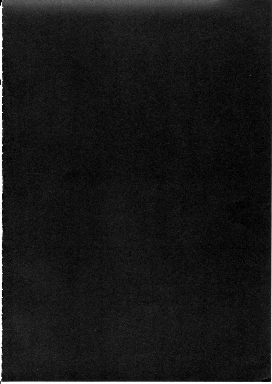 reitaisai-12-eali-al-ariesu-watanabe-gokuchuu-seikatsu-sanae-hachi-touhou-project-english