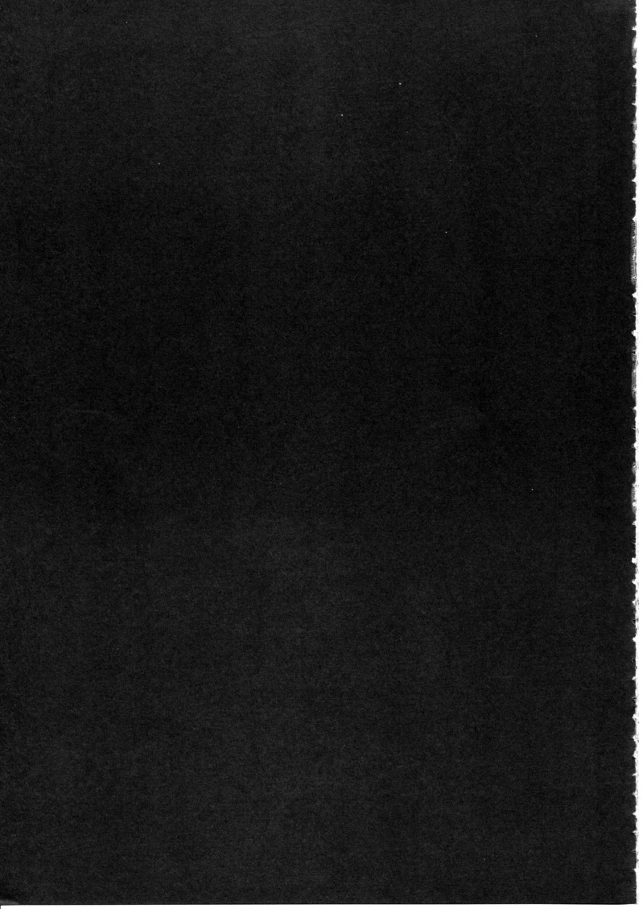 reitaisai-12-eali-al-ariesu-watanabe-gokuchuu-seikatsu-sanae-hachi-touhou-project-english