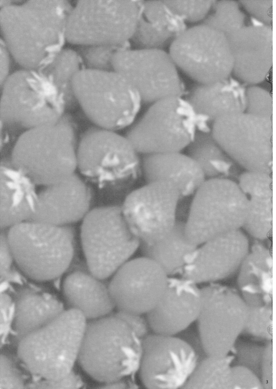 reitaisai-5-54burger-marugoshi-cosmic-dare-touhou-project-english