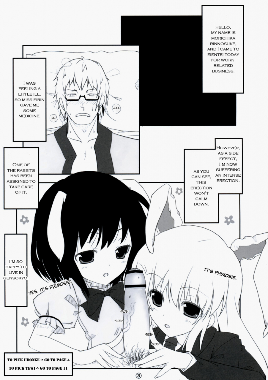 reitaisai-6-itou-life-touhou-usa-usa-touhou-project-english-ehcove