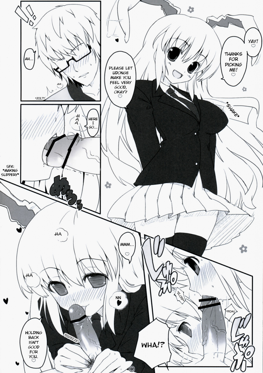 reitaisai-6-itou-life-touhou-usa-usa-touhou-project-english-ehcove