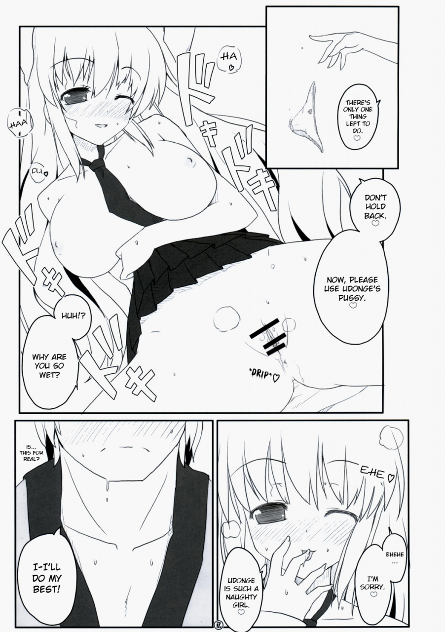 reitaisai-6-itou-life-touhou-usa-usa-touhou-project-english-ehcove