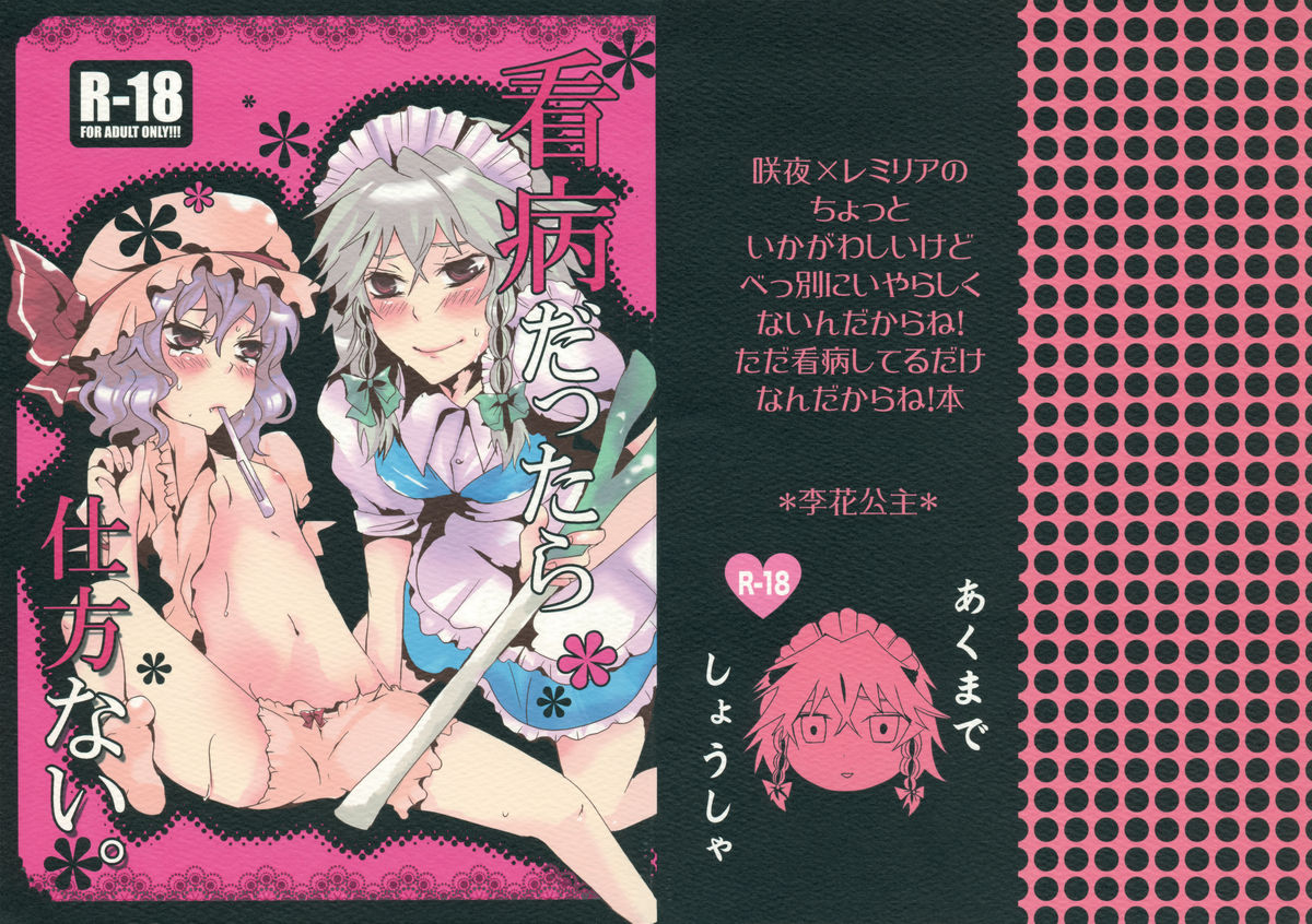 reitaisai-6-rika-koushu-kino-asana-kanbyou-dattara-shikata-nai-if-im-her-nurse-i-have-no-other-choice-touhou-project-english-saha