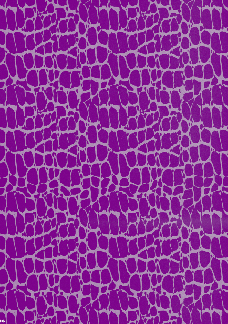 reitaisai-8-aimaimoko-moko-prince-tenko-wa-hatsujouki-touhou-project-english-darknight