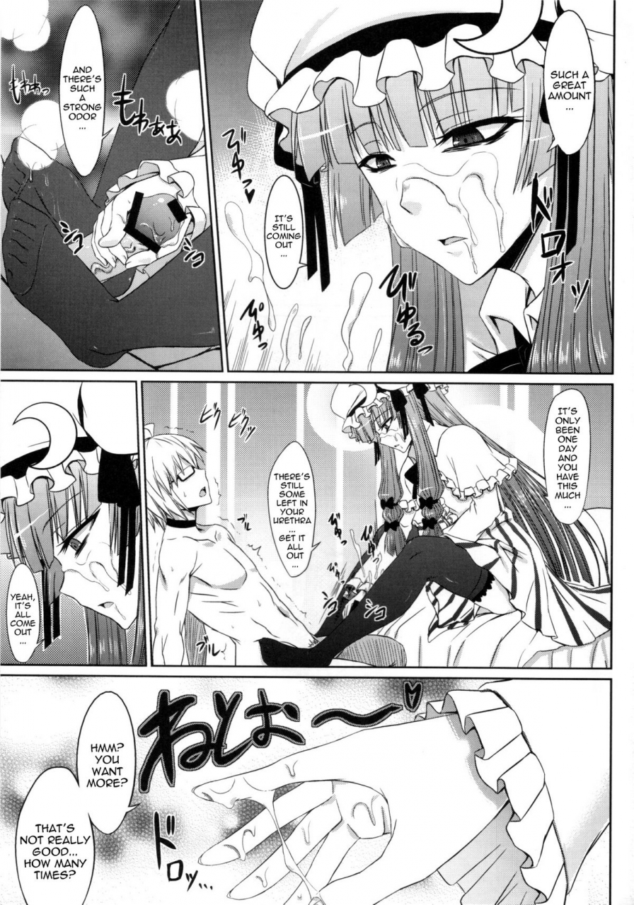 reitaisai-8-minarai-honpo-minamoto-jin-patchouli-to-ashi-bakari-no-doujin-touhou-project-english-sharpie-translations