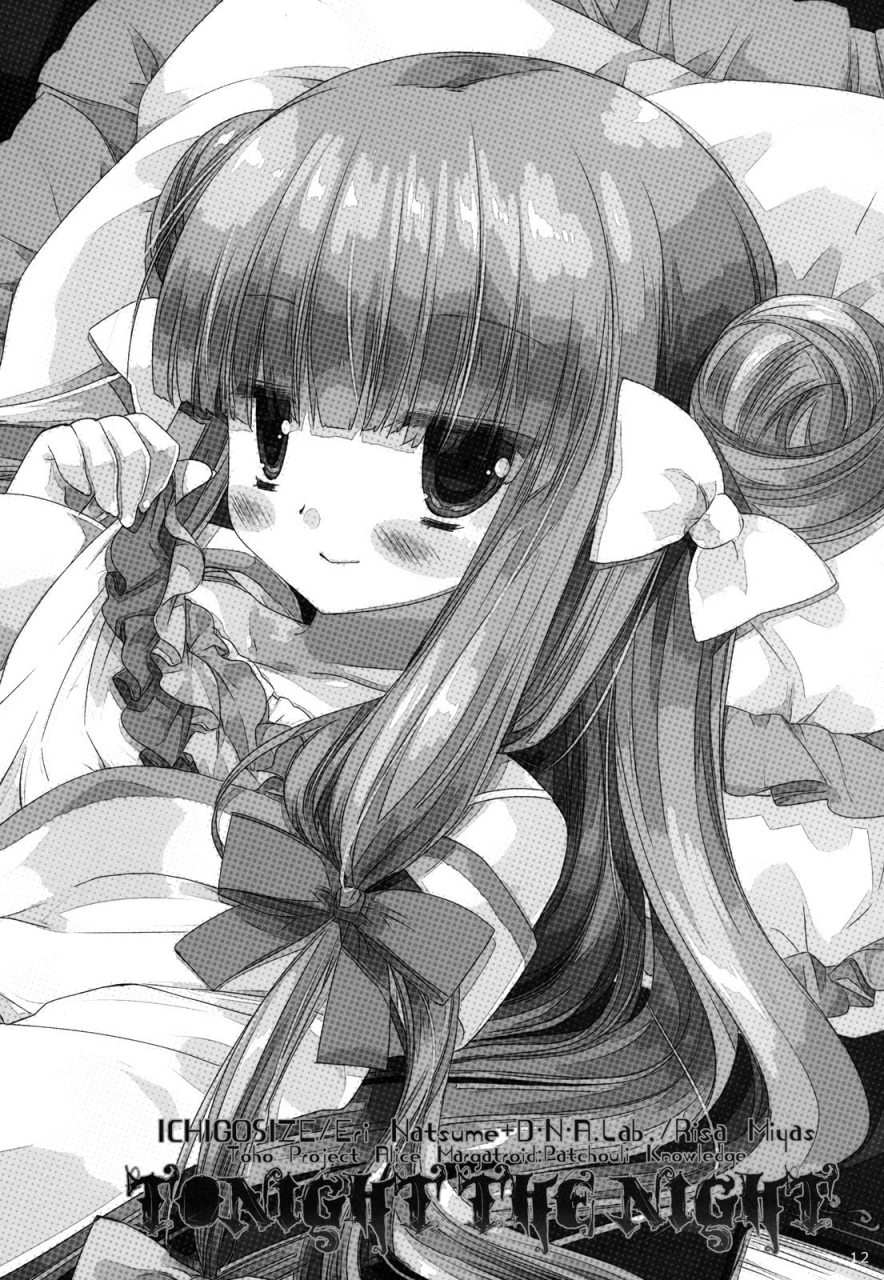 reitaisai-9-dnalab-ichigo-size-miyasu-risa-natsume-eri-tonight-the-night-touhou-project-english-hennojin