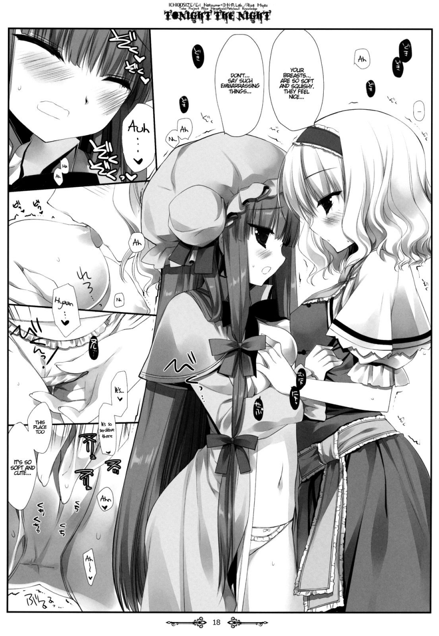 reitaisai-9-dnalab-ichigo-size-miyasu-risa-natsume-eri-tonight-the-night-touhou-project-english-hennojin