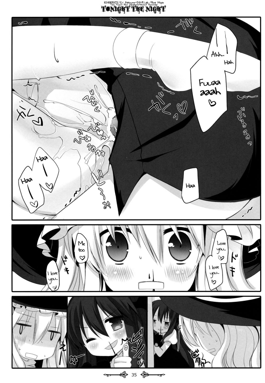 reitaisai-9-dnalab-ichigo-size-miyasu-risa-natsume-eri-tonight-the-night-touhou-project-english-hennojin