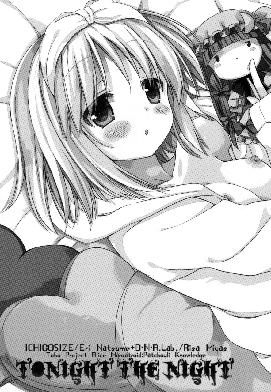 reitaisai-9-dnalab-ichigo-size-miyasu-risa-natsume-eri-tonight-the-night-touhou-project-english-hennojin