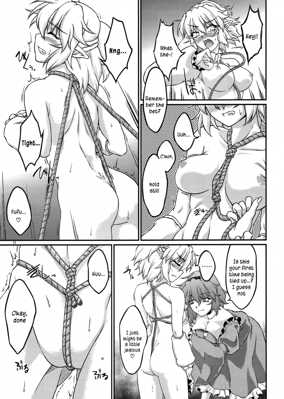 reitaisai-9-kougeki-ootsuki-wataru-say-the-word-touhou-project-english-lwb