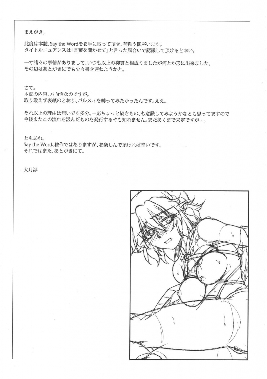 reitaisai-9-kougeki-ootsuki-wataru-say-the-word-touhou-project-english-cgrascal