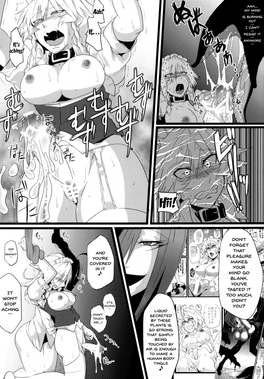 reitaisai-9-totsugasa-sagattoru-sakuranbou-touhou-project-english-doujinscom