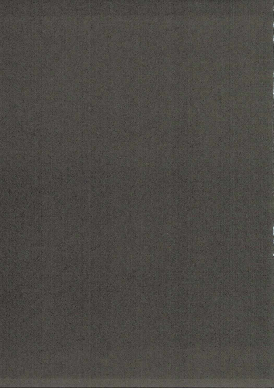 sc2016-autumn-hitsuji-kikaku-muneshiro-uchi-no-sarasa-no-oppai-ga-kininatte-shuuchuu-dekinai-im-bothered-by-sarasas-breast-so-i-cant-focus-granblue-fantasy-english-obsoletezero