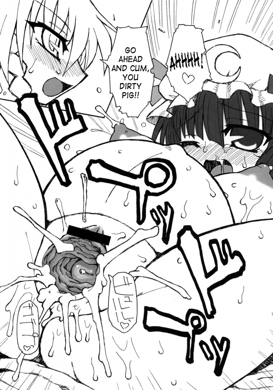 sc28-domestic-animals-murasame-maru-seireitsukai-no-gogo-afternoon-of-the-sorceress-touhou-project-english-saha