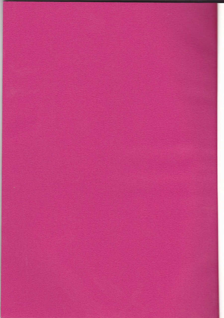 sc30-kodomokeibitai-eiki-eiki-ura-athrun-athrun-ga-onna-no-ko-ni-nacchatta-kidou-senshi-gundam-seed-destiny-english-kusanyagi