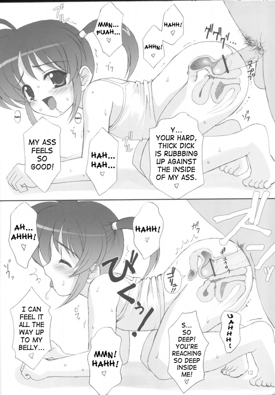 sc31-aneko-chokudoukan-koume-keito-marcy-dog-hormone-koijirou-danmenou-cross-section-king-various-english