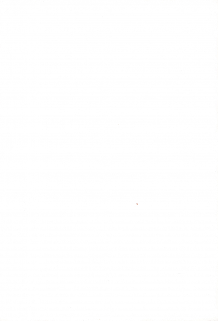 sc32-inu-ringo-nilitsu-haihan-nilitsui-about18cm-3rd-fatestay-night-english-cgrascal