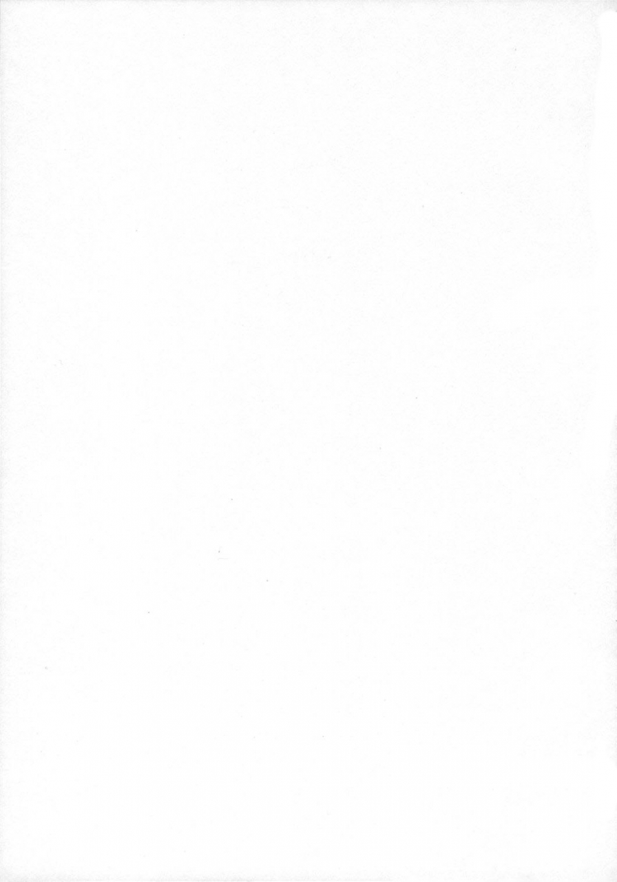 sc34-sekitou-sou-primal-touhou-project-english-nietz