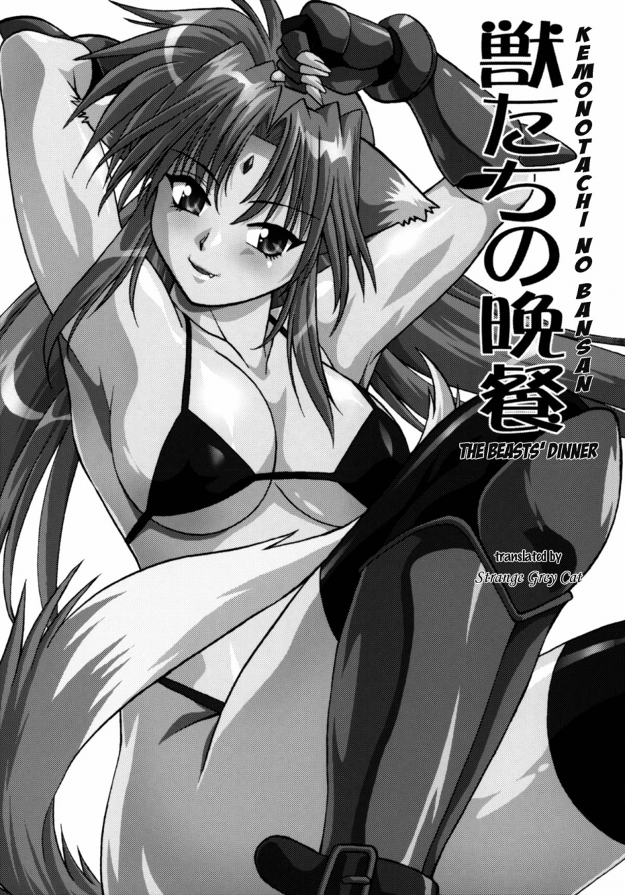 sc34-studio-katsudon-manabe-jouji-kemonotachi-no-bansan-mahou-shoujo-lyrical-nanoha-english