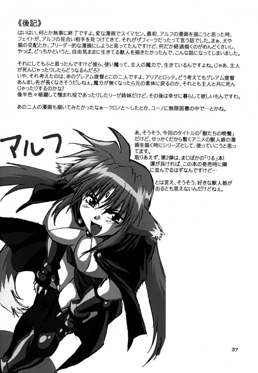 sc34-studio-katsudon-manabe-jouji-kemonotachi-no-bansan-mahou-shoujo-lyrical-nanoha-english