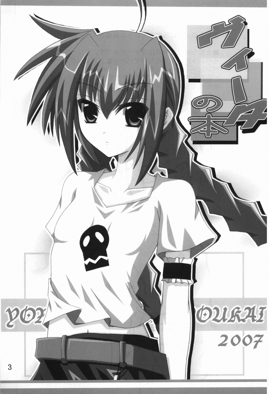 sc34-yoru-no-benkyoukai-fumihiro-vita-no-hon-vita-book-mahou-shoujo-lyrical-nanoha-english-saha