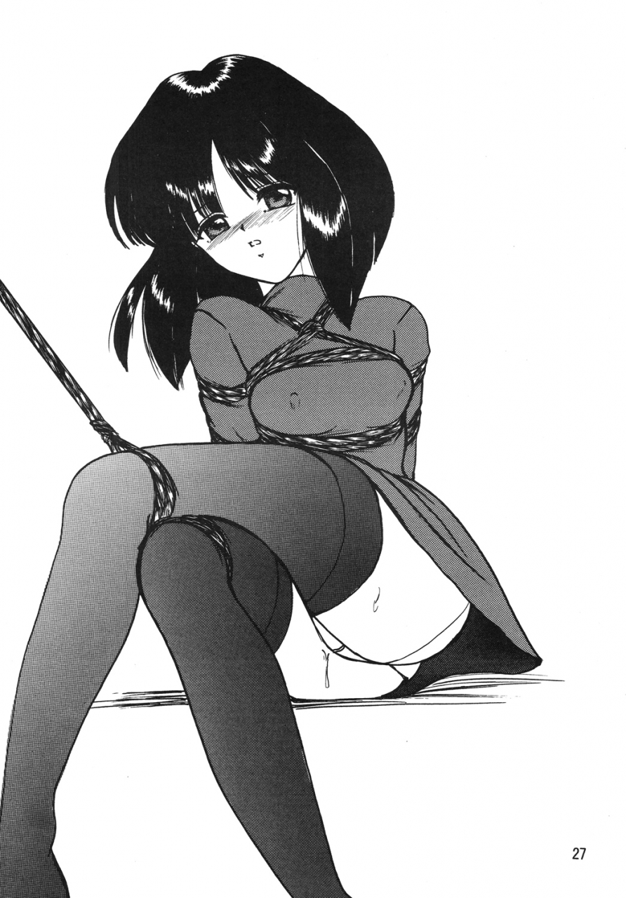 sc38-thirty-saver-street-2d-shooting-maki-hideto-sawara-kazumitsu-silent-saturn-ss-vol-10-sailor-moon-english-ehcove