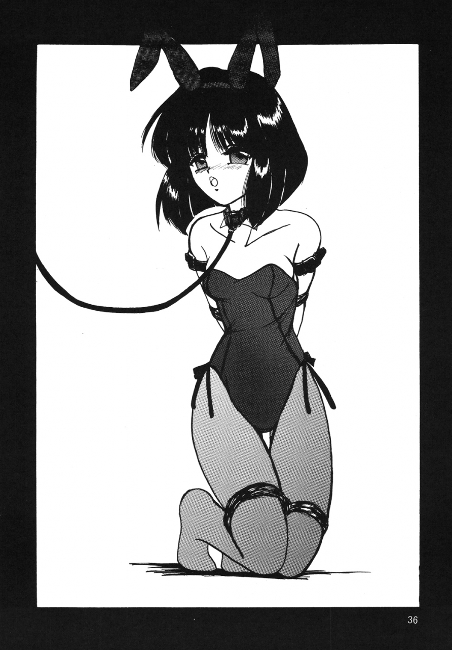 sc38-thirty-saver-street-2d-shooting-maki-hideto-sawara-kazumitsu-silent-saturn-ss-vol-10-sailor-moon-english-ehcove