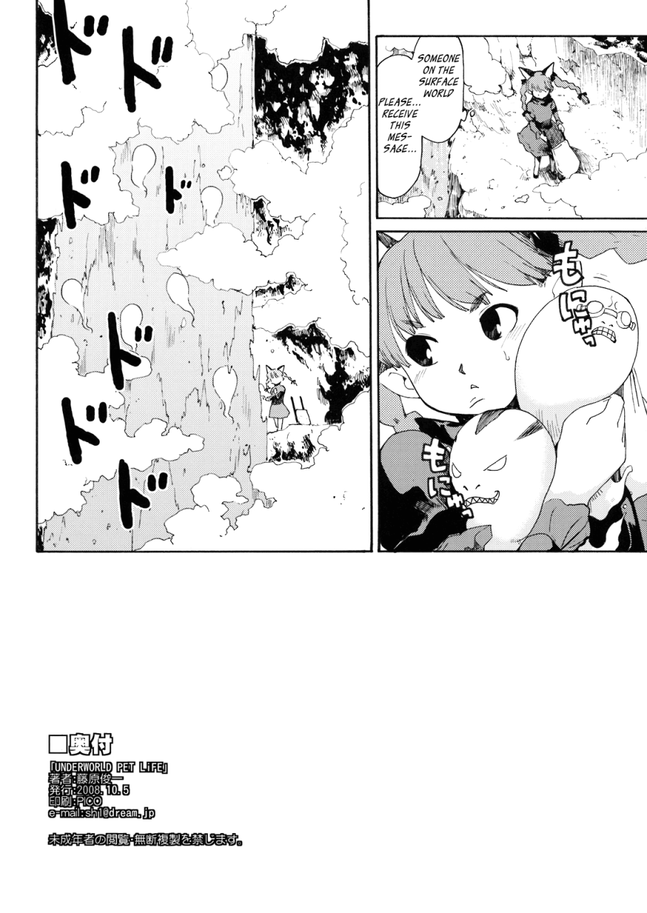 sc41-paranoia-cat-fujiwara-shunichi-underworld-pet-life-touhou-project-english